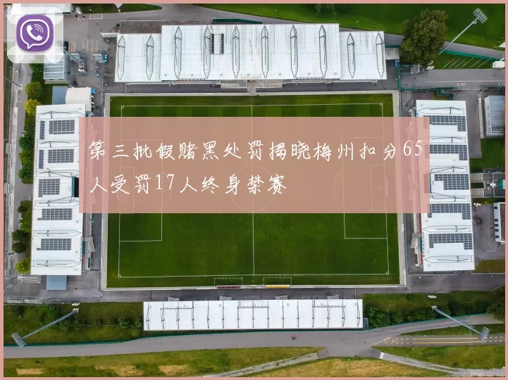 第三批假赌黑处罚揭晓梅州扣分65人受罚17人终身禁赛